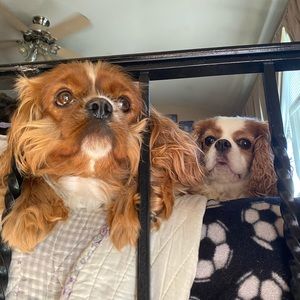 Meet your Posher, Jem andrea